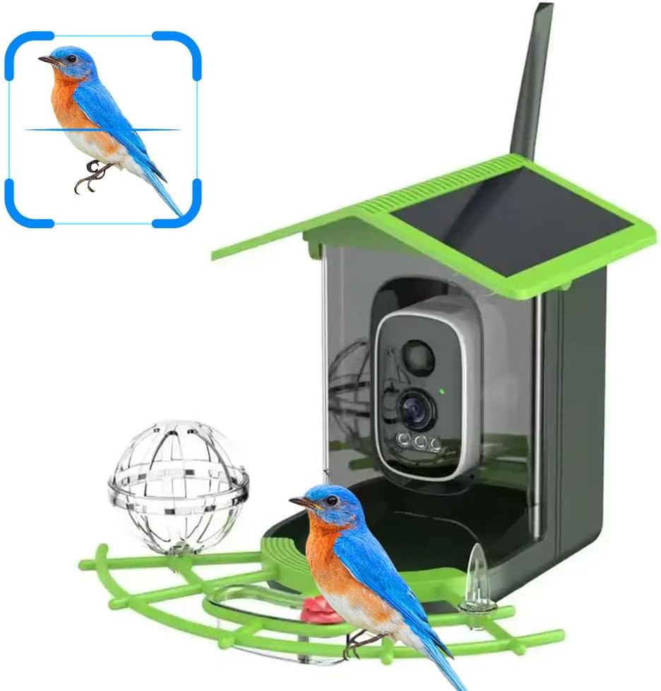 A1 Watches & Jewelry New York Photos - Real Time Bird watching WIFI APP