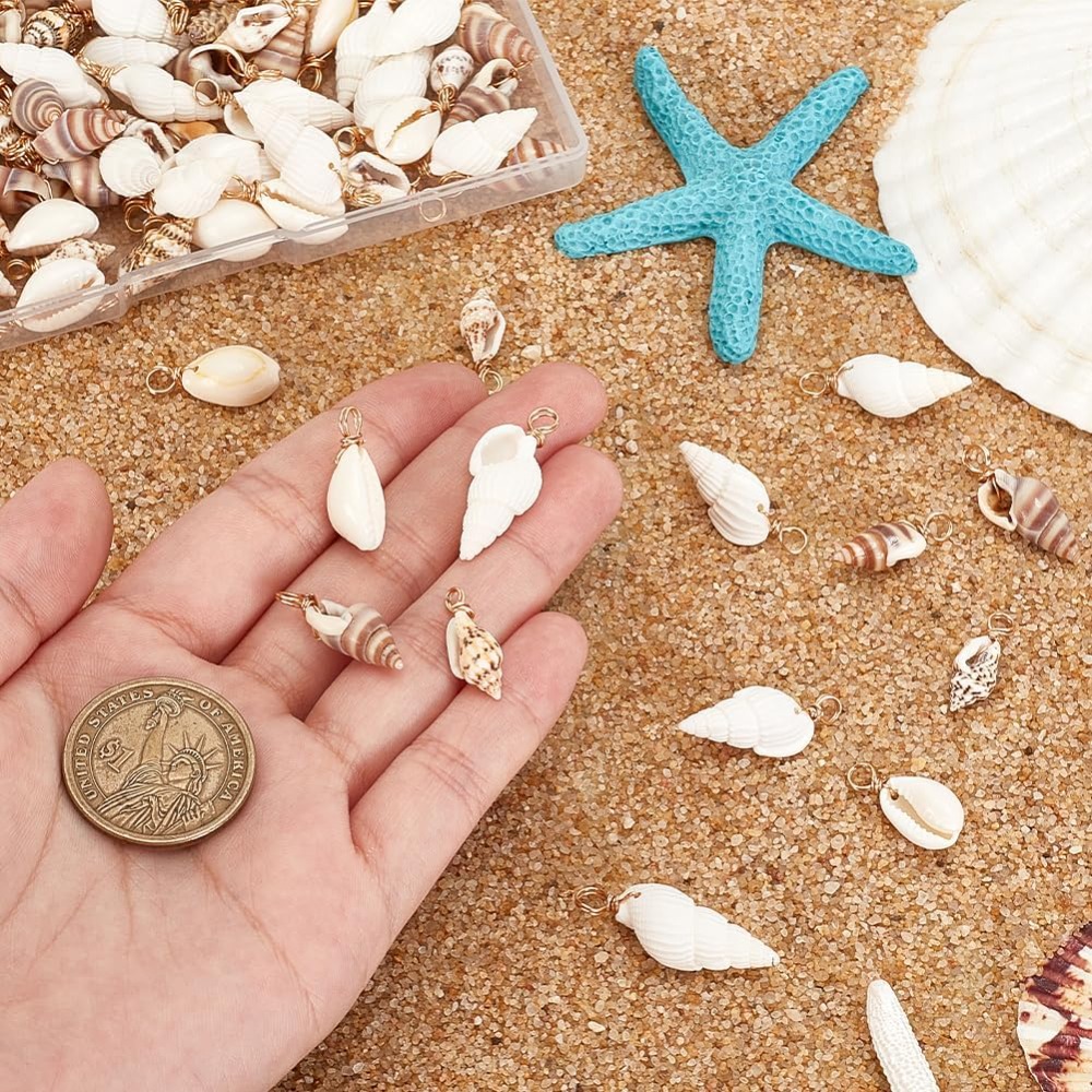 100pcs 4 Styles Natural Shell  - Charm Bracelet Beads review and price